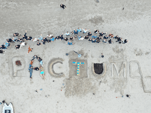 Pactum Team Challenge